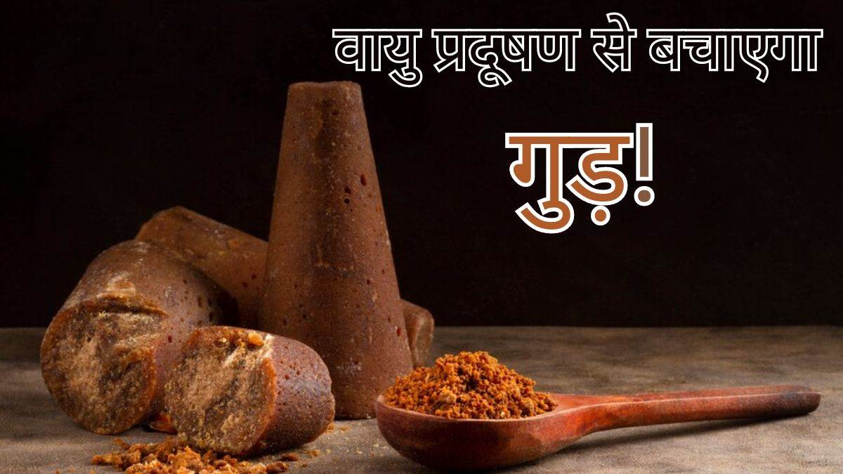https://www.jagranimages.com/images/newimg/18112023/18_11_2023-jaggery_2_23583548.jpg