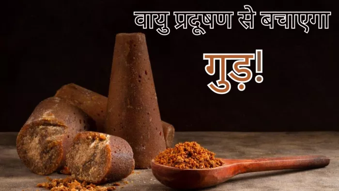 बढ़ते वायु प्रदूषण से आपको बचाएगा गुड़