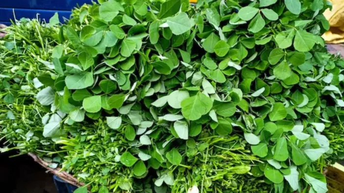 Methi Leaves Benefits: सर्दियों में मेथी खाने के फायदे
