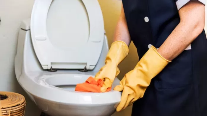 World Toilet Day 2023: जानें हाइजीन से जुड़ी ये खास बातें