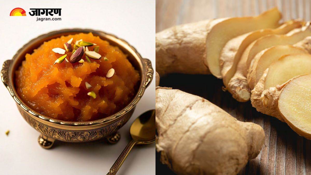 https://www.jagranimages.com/images/newimg/18112024/18_11_2024-ginger_halwa_benefits_23833246.jpg