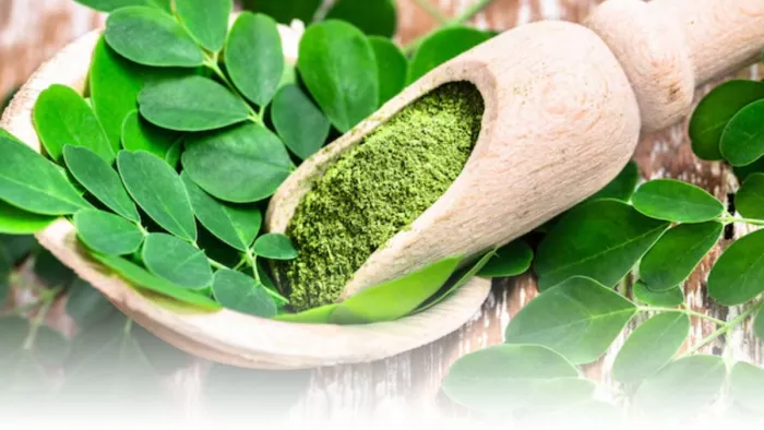 बालों को हेल्दी रखेंगे Moringa के हेयर मास्क (Picture Courtesy: Freepik)