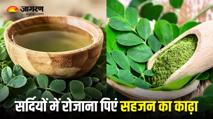सेहत से जुड़ी कई समस्याओं में रामबाण का काम करता है सहजन की पत्तियों का काढ़ा (Image Source: Freepik)
