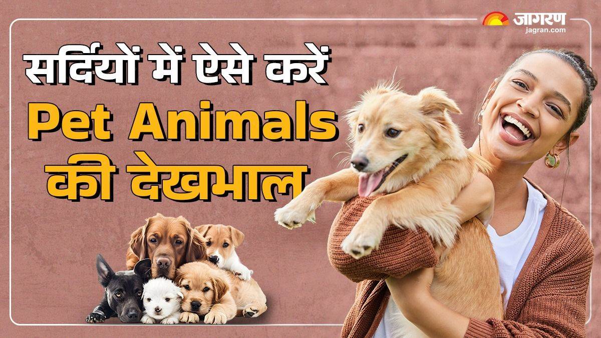 https://www.jagranimages.com/images/newimg/18112024/18_11_2024-pet_animals_care_tips_23832929.jpg