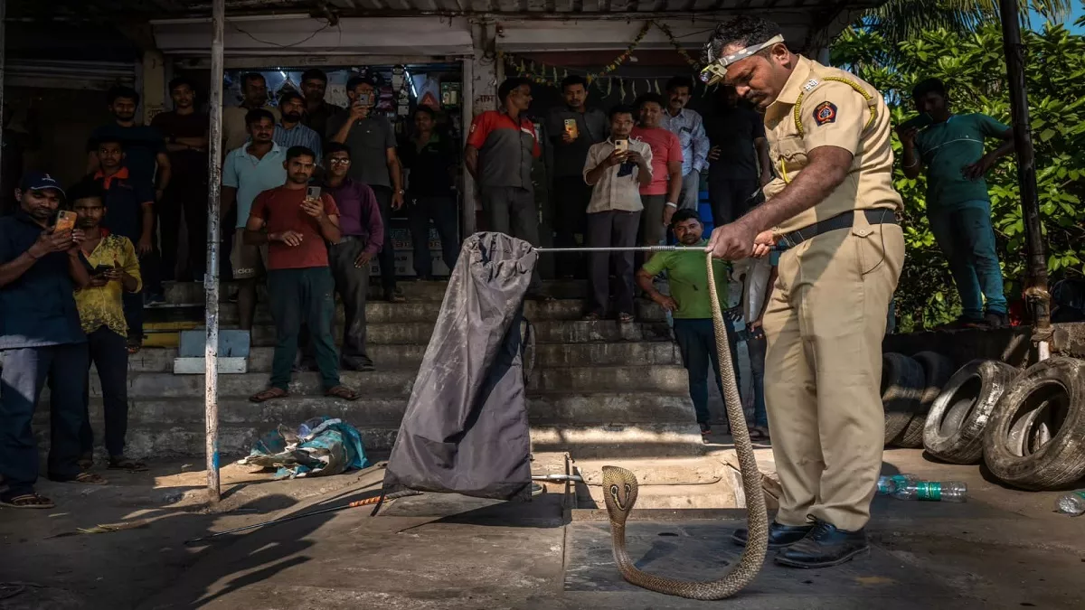 डिस्कवरी चैनल पर दिखेंगे मुंबई के 'सांप वाले सिपाही', 8 साल की उम्र में कांस्टेबल मुरलीधर ने पकड़ा था कोबरा