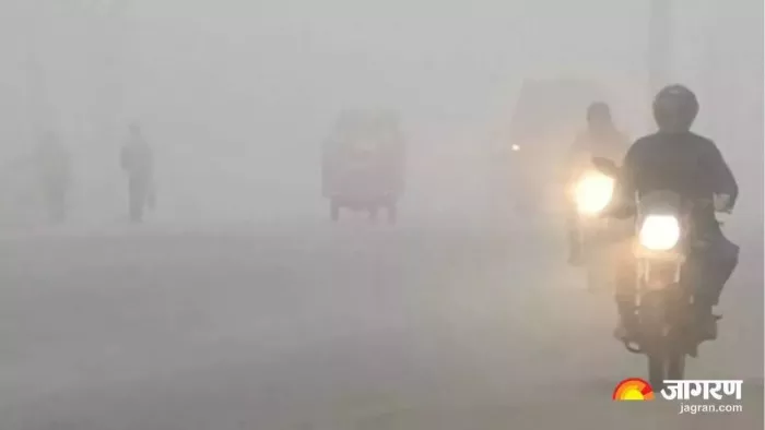 हरियाणा में शीतलहर का कहर जारी है। फाइल फोटो