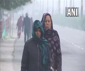 उत्तर भारत के कई इलाकों में पड़ रही कड़ाके की ठंड (फाइल एएनआई)