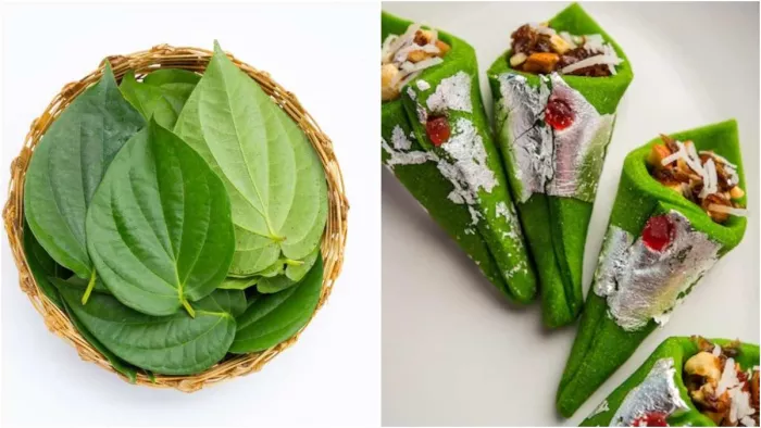 Paan Side Effects: पान खाने के क्या नुकसान हो सकते हैं?