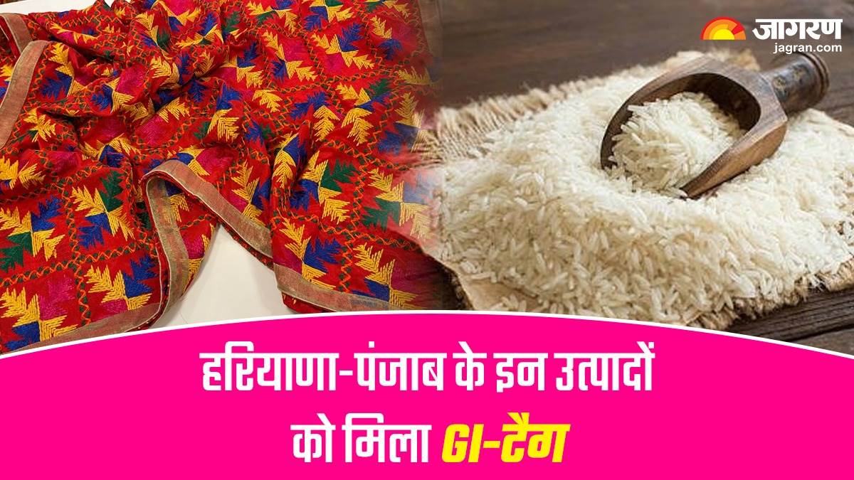 GI Tag लाजवाब खुशबू, खाने में स्वादिष्ट... दुनियाभर में बासमती चावल ने