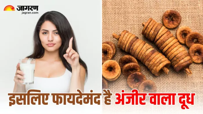 क्यों रात में सोने से पहले पीना चाहिए अंजीर वाला दूध? (Image Source: Freepik)