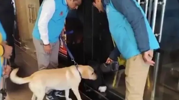 गणतंत्र दिवस पर दिल्ली में सुरक्षा चाक-चौबंद, बाजारों और पार्किंग में हो रही सघन चेकिंग।