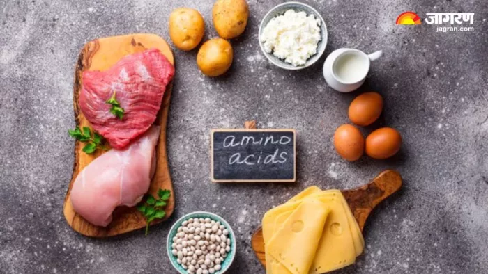शरीर के लिए मुसीबत बन सकती है Amino Acid की कमी, डाइट में शामिल करें ये 8 चीजें (Image: Freepik)