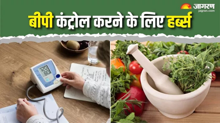 High BP Remedy: इन जड़ी-बूटियों से कंट्रोल करें हाई ब्लड प्रेशर (Picture Courtesy: Freepik)