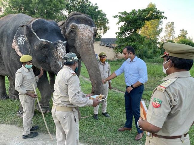 tourists will be able to ride elephant in katarnia from april