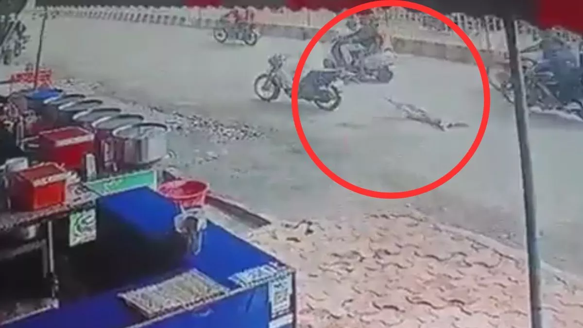 कुत्ते को बाइक में बांधकर ढाई किमी तक घसीटा, सिर पर ईंट मारकर किया था बेहोश