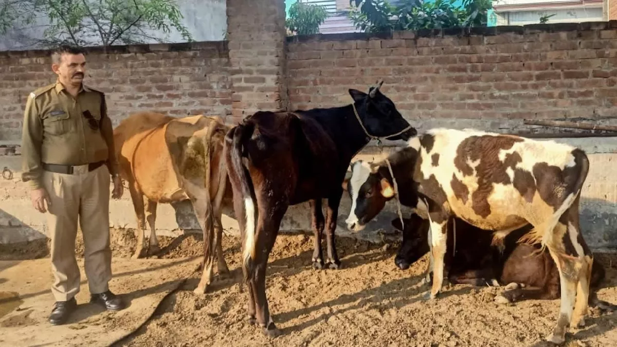 घर में गौकशी कर रहे दंपति व बेटा गिरफ्तार