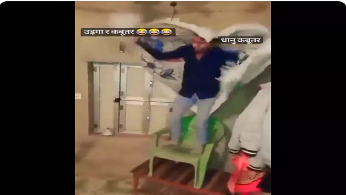 Viral Video: 'उड़ जाइये रे कबूतर' गाने पर दोस्तों संग शख्स कर रहा था डांस, फिर जो हुआ देख नहीं रोक पाएंगे हंसी