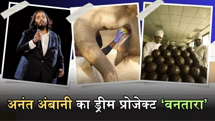 दुनिया का सबसे बड़ा एनिमल रेस्क्यू सेंटर आपने देखा क्या?
