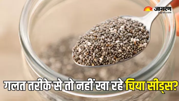 Chia Seeds: क्या है चिया सीड्स खाने का सही तरीका (Picture Courtesy: Freepik)