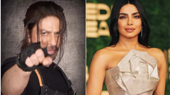 शाह रुख से लेकर सलमान खान तक आईपीएल 2025 में दिखेंगे ये सितारे/ फोटो- Instagram