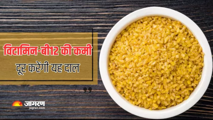 Vitamin-B12 को पूरा करने में मदद करेगी मूंग दाल (Picture Courtesy: Freepik)