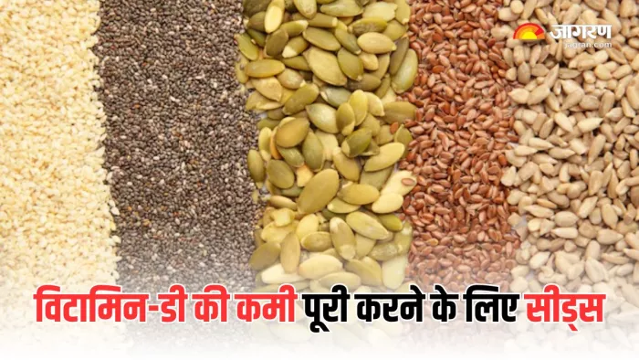 Vitamin-D Deficiency: विटामिन-डी की कमी दूर करने के लिए खाएंं ये सीड्स (Picture Courtesy: Freepik)