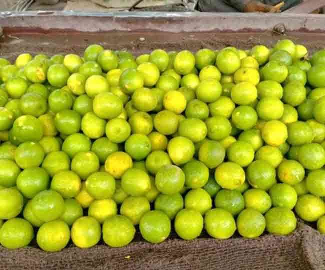 Lemon Price Hike: नींबू को लगी महंगाई की 'नजर, 300 रुपये प्रति किलो तक पहुंचे दाम - Lemon Price Hike lemon price reached near three hundred rupees in Dehradun