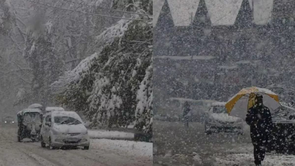 Snowfall in Jammu Kashmir: जम्मू-कश्मीर में जारी है बारिश और बर्फबारी, जानें इस हफ्ते कैसा रहेगा घाटी का मौसम