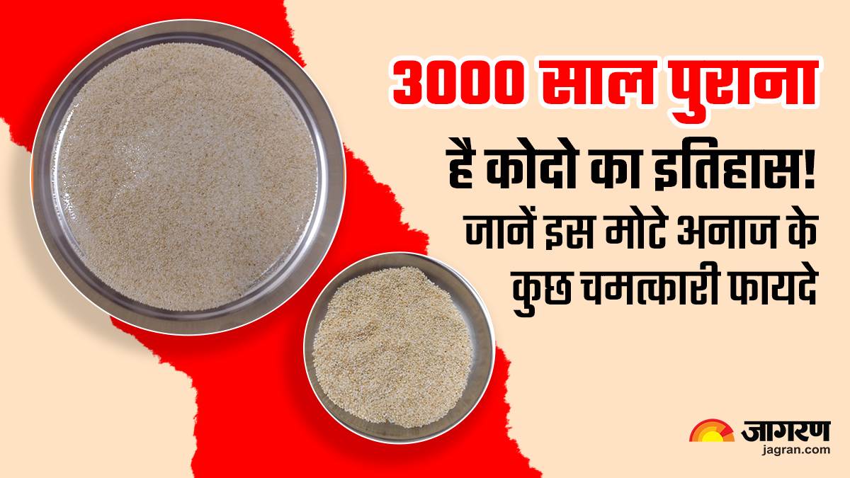 Kodo Millet सेहत के लिए खजाना है ‘गरीब का चावल’, डायबिटीज ही नहीं इन