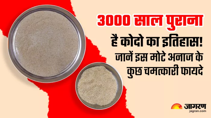 सेहत के लिए गुणकारी है कोदो के चावल