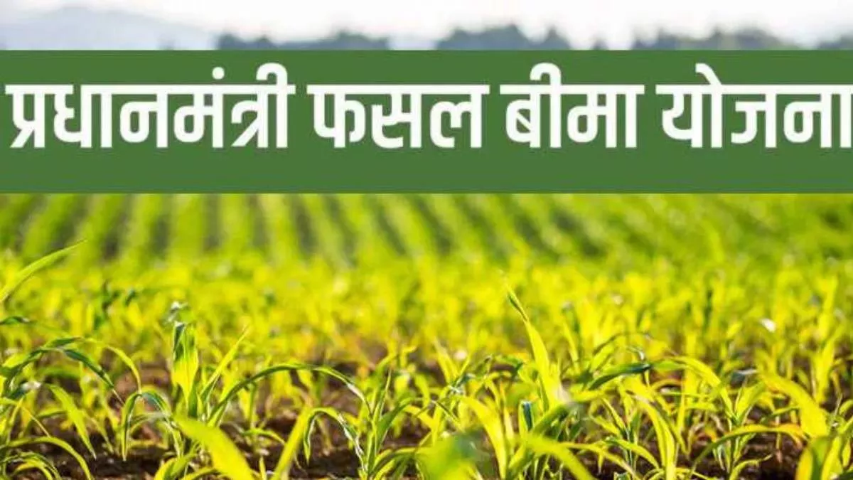 Fasal Bima Yojana: किसानों के लिए बुरी खबर! हरियाणा के इन सात जिलों को नहीं मिलेगा 'फसल बीमा योजना' का लाभ