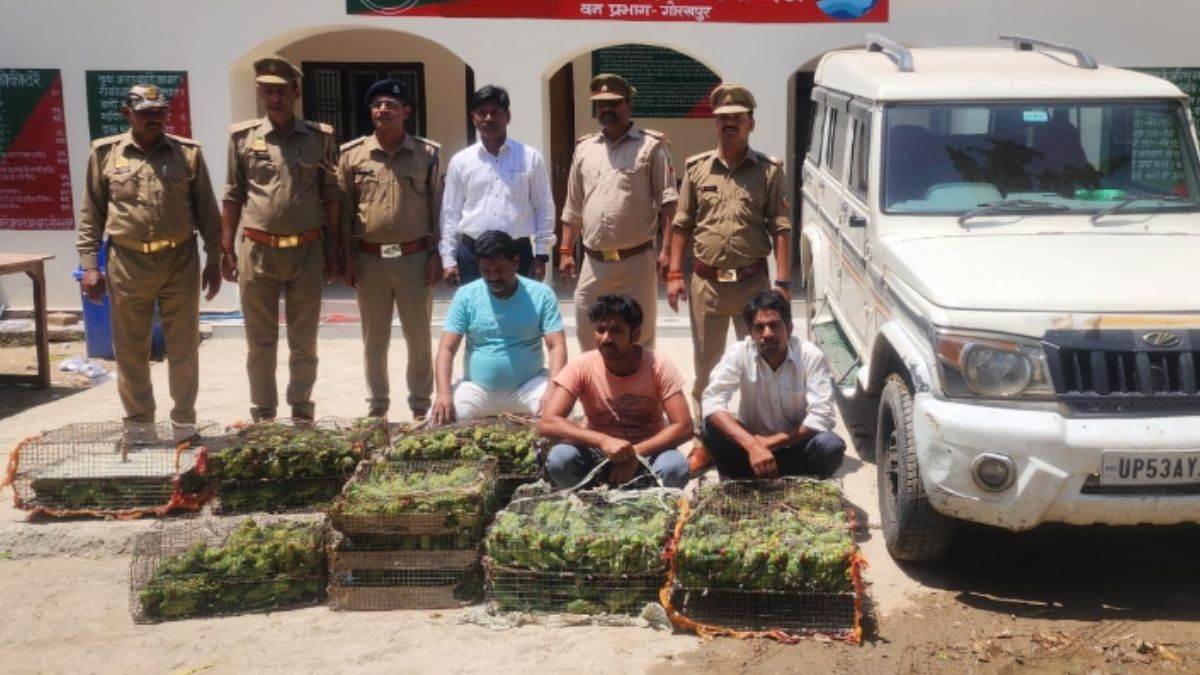 three smugglers arrested along with 676 banned parrots taking to patna