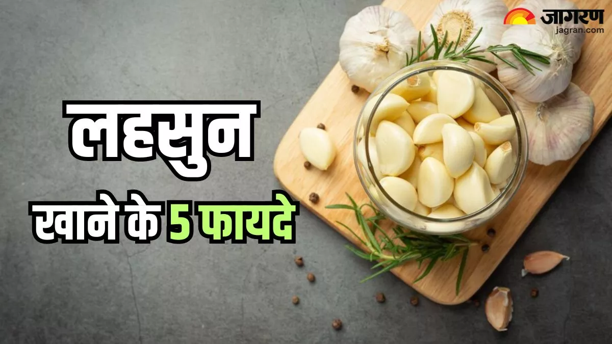 National Garlic Day 2024: खाली पेट लहसुन खाने से मिलते हैं ये 5 गजब फायदे, जानकर आप भी रह जाएंगे दंग
