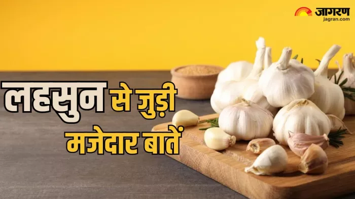 हर साल 19 अप्रैल को मनाया जाता है गार्लिक डे