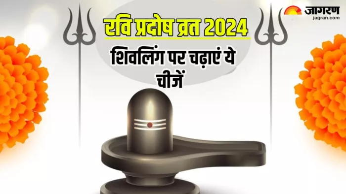 Pradosh Vrat 2024: प्रदोष व्रत के दिन शिवलिंग पर अर्पित करें ये चीजें।