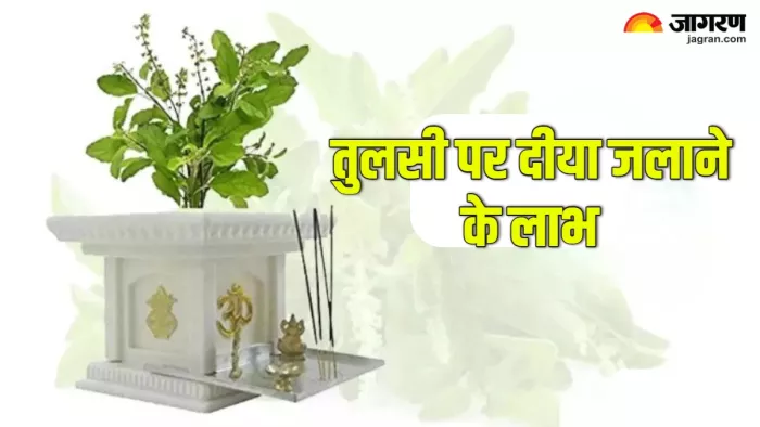 Tulsi Puja Niyam तुलसी के पास दीपक जलाने से मिलते हैं कई लाभ।