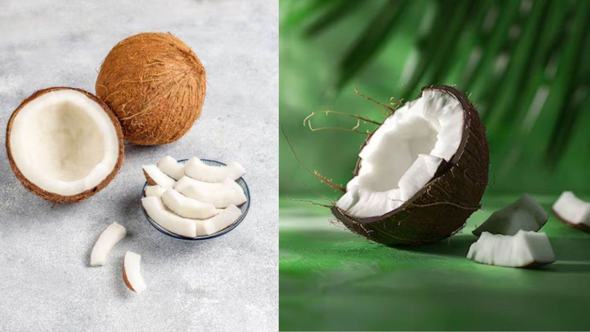 https://www.jagranimages.com/images/newimg/19042025/19_04_2025-coconut_23921667.jpg