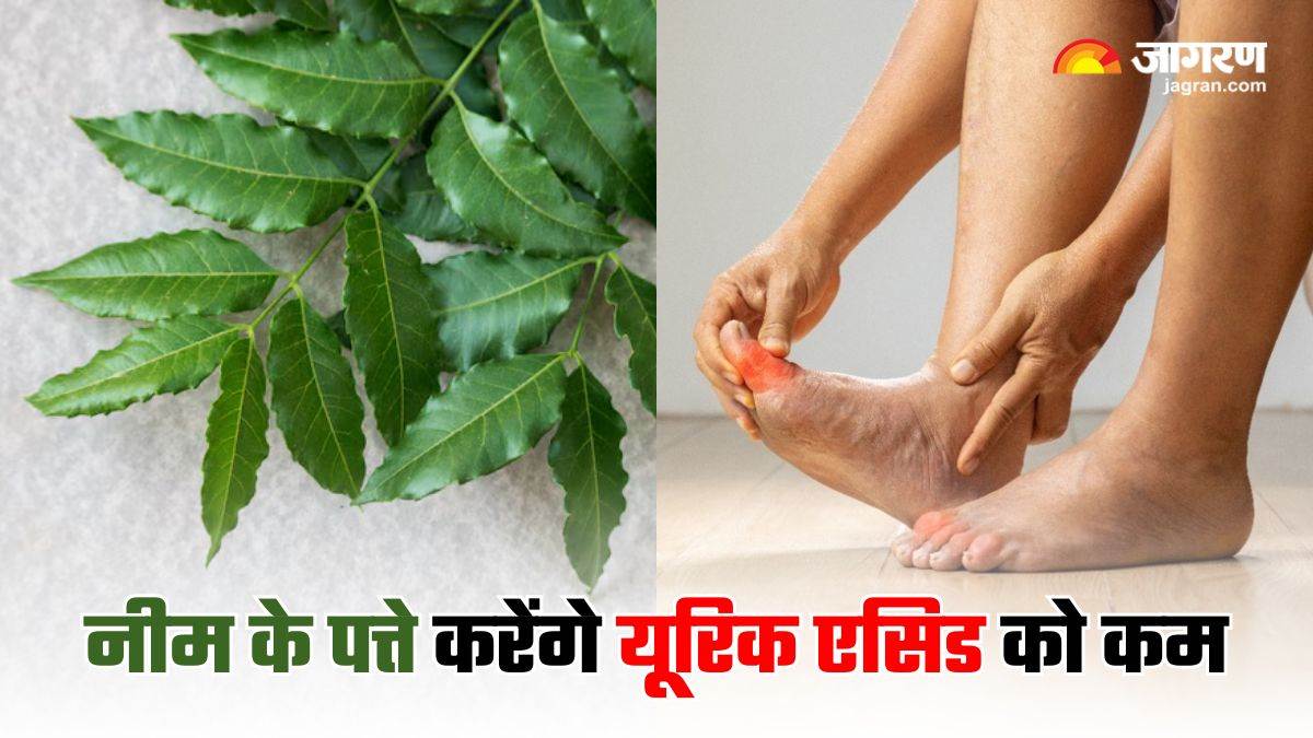 https://www.jagranimages.com/images/newimg/19042025/19_04_2025-neem_leaves_for_uric_acid_23921795.jpg