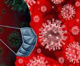 सभी पॉजिटिव आए मरीजों को आइसोलेट किया गया है।