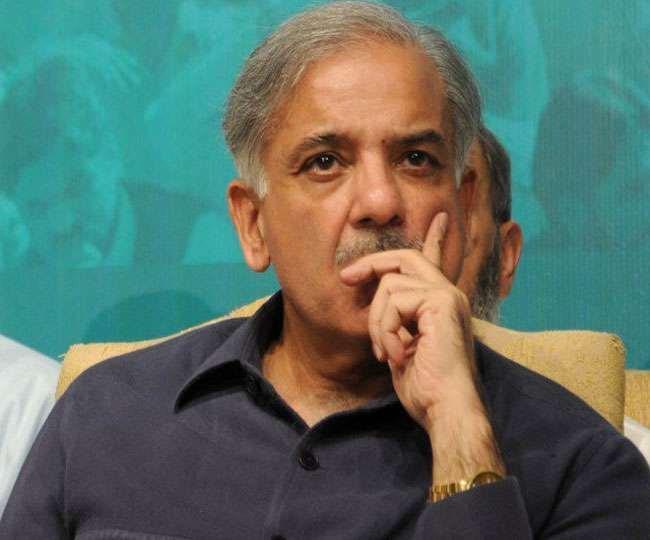 शहबाज शरीफ ने कहा है कि इमरान सरकार घोटालों की सरकार है।