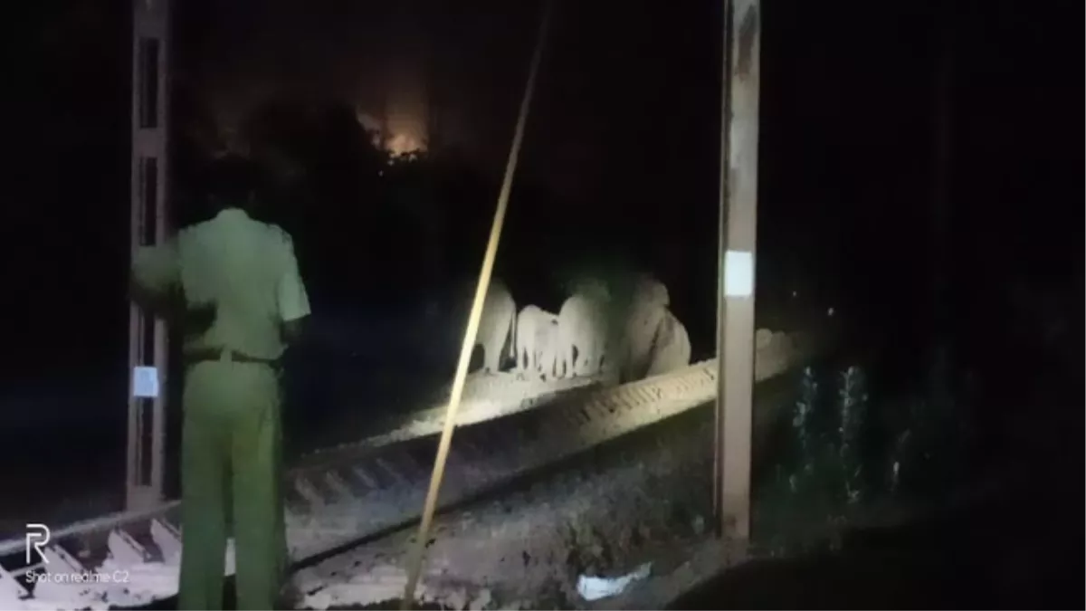 Jamshedpur Big Breaking : मालगाड़ी ने तीन हाथियों को मारी टक्कर, तीनों की मौत, हाथियों को हटाने में जुटी वन विभाग और रेलवे