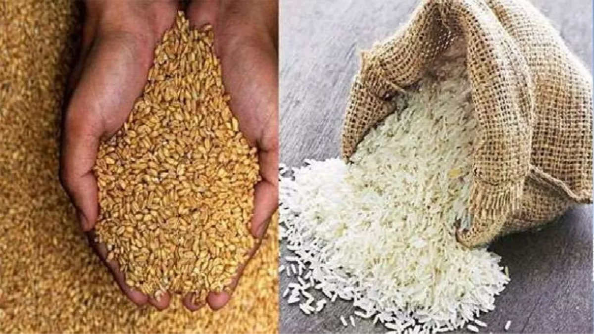 Food Production: खाद्यान्न की होगी बंपर पैदावार, गेहूं में मामूली गिरावट; कृषि मंत्रालय ने जारी किया तीसरा अग्रिम अनुमान