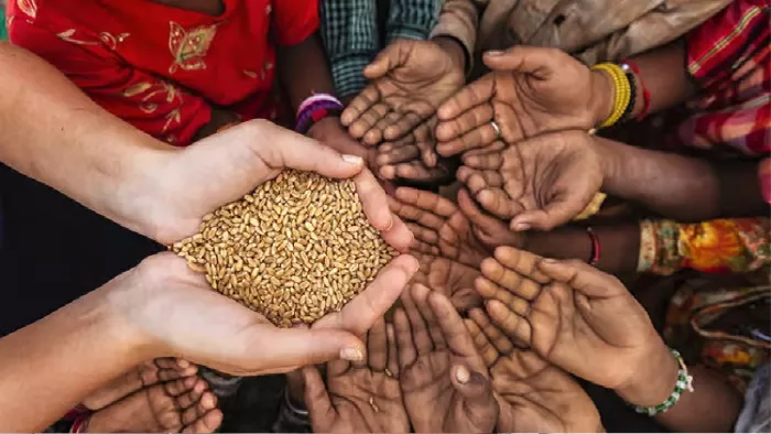 जल्द ही वैश्विक खाद्य संकट पैदा हो सकता है