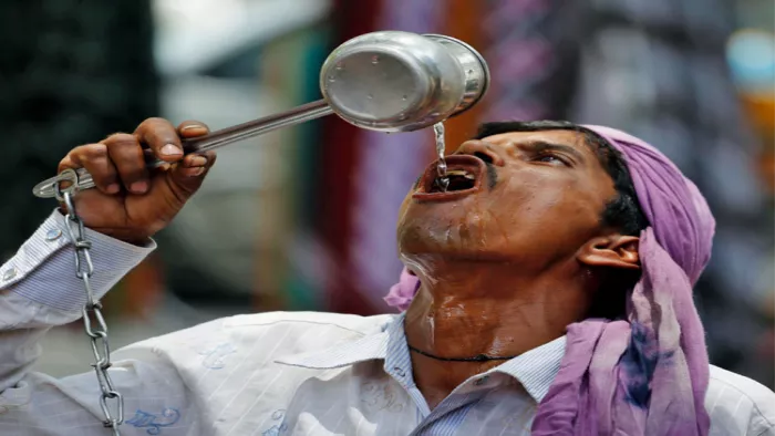 दिल्ली और एनसीआर के चारों ओर एक पेड़ों की एक ग्रीन वॉल बनानी होगी