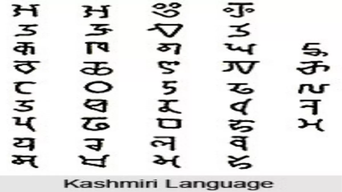 कश्मीरी भाषा के संरक्षण पर वोमेध का नाट्योत्सव, मातृभाषा के संरक्षण की अनूठी पहल