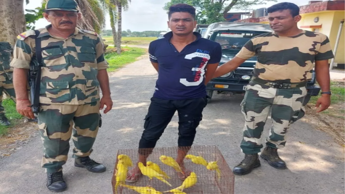 अंतरराष्ट्रीय सीमा क्षेत्र से 11 तोते के साथ गिरफ्तार तस्कर।