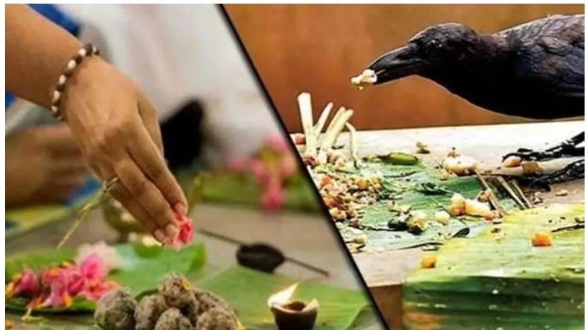 https://www.jagranimages.com/images/newimg/19052023/19_05_2023-jyeshtha_amavasya_2023_23416733.jpg