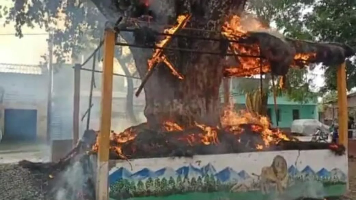 Jharkhand: सरायकेला में वज्रपात की चपेट में आने से किशोर की मौत, धू-धू कर जला पेड़