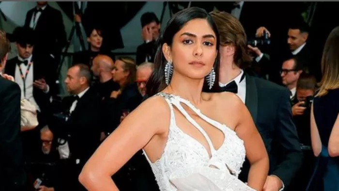 Photo Credit: Mrunal Thakur Instagram Photo Screenshot