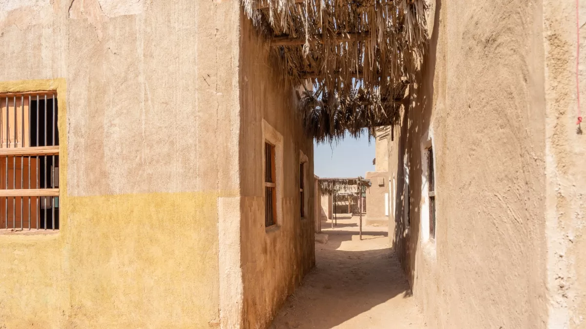 बिहार एक गांव बना नजीर: आजादी के बाद से नहीं दर्ज हुआ एक भी केस, नशे पर है पाबंदी, साफ-सफाई में भी अव्वल